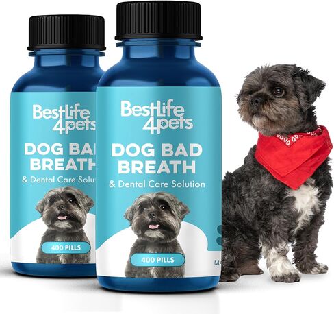 مكمل العناية بالأسنان لصحة الفم من بيست لايف فور بيتس للكلاب - مزيل الجير من التهاب الفم والتحكم في التهاب اللثة - مضاد للالتهابات وتخفيف آلام الأسنان واللثة - حبوب طبيعية سهلة الاستخدام (عبوتان) in Kuwait