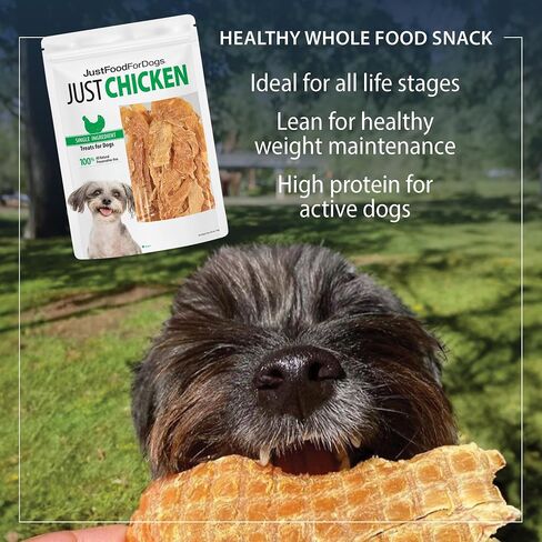Just Food for Dogs Single Ingredient Healthy Dog Treats and Dog Snacks, Jerky Treats, Human Grade, Preservative and Grain Free, Rawhide Free Chews, Low Calorie Treat - Chicken Breast, 5 oz in Saudi Arabia
