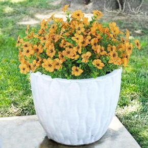 12 Bundles Artificial Mums Fall Flowers for Outdoors Fake Plants - Faux Outside Greenery Boxwood No Fade Plastic Shrubs Decor for Front Door Porch Planter Patio Garden Home Thanksgiving(Salmon)