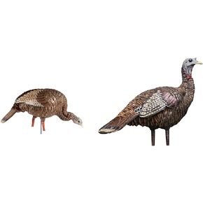 Avian-X HDR Feeding Hen Turkey Decoy | Durable Realistic Lifelike Standing Hunting Decoy with Carry Bag & Integrated Stake, AVX8107
