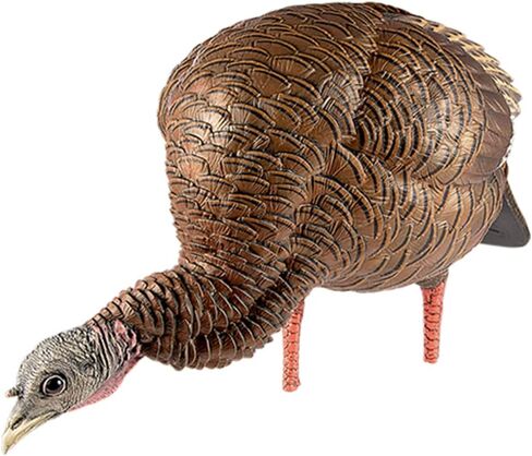 Avian-X HDR Feeding Hen Turkey Decoy | Durable Realistic Lifelike Standing Hunting Decoy with Carry Bag & Integrated Stake, AVX8107 in Kuwait