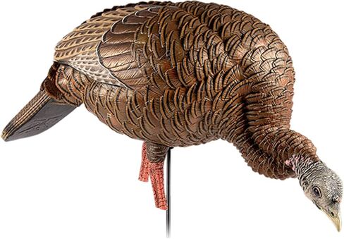 Avian-X HDR Feeding Hen Turkey Decoy | Durable Realistic Lifelike Standing Hunting Decoy with Carry Bag & Integrated Stake, AVX8107 in Kuwait