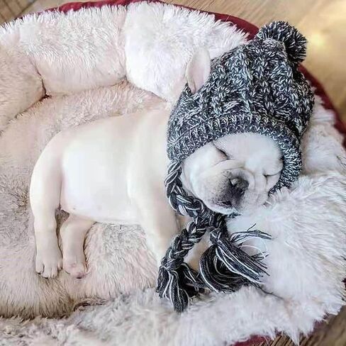 Polar Pom Pom Hat, Warm Pet Dog Knitted Hat,Pet Dog Winter Knitted Hat, Hats for Small Dogs, Winter Dog Hat with Ear Holes and Long Tassel, Grey (Large) in Saudi Arabia