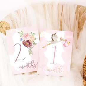Boy Milestone Cards Baby Monthly Milestone Cards Baby Gift New Mom Baby Shower Baby's Milestone Month Cards Boy Monthly Photos Pictures