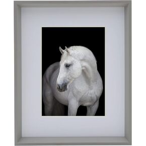 Studio Nova Picture Frame Displays 8 x 10 Photos 11 x 14 Without Mat, 11x14-Matted 8x10, Gray