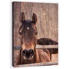 Farmhouse Rustic Wall Art for Bedroom Home Bathroom Decor for the Home Country Horse Pictures Artwork for Walls Kitchen Wall Decor Modern Prints Wood Grain Canvas Framed Animal Wall Art Size 12x16