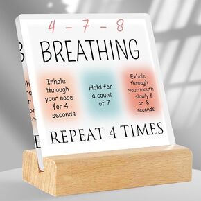 Maslow's Hierarchy of Needs Therapy Mental Health Gifts-Therapist Office Must Haves-Mental Health Acrylic Desk Plaque Sign with Wooden Stand,Office Decor