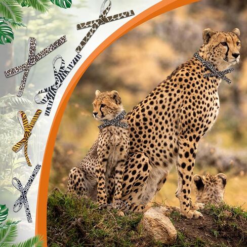 Kiddisie 4 لفات شريط فييستا مكسيكي 2.5 بوصة × 20 ياردة خطوط قوس قزح شريط سيرابي شريط حرفي لتغليف الحفلات DIY تزيين الحرف اليدوية (4 قطع) in Kuwait