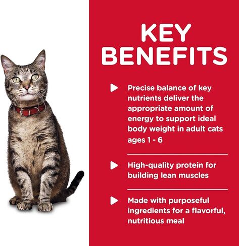 Hill's Science Diet Adult Wet Cat Food, Tender Ocean Fish Dinner, 5.5 oz. Cans, 24-Pack in Kuwait