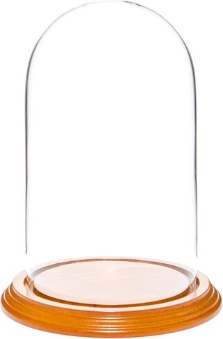 Plymor 4.5" x 8" Glass Display Dome Cloche (Black MDF Wood Base) in Saudi Arabia