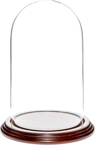 Plymor 4.5" x 8" Glass Display Dome Cloche (Black MDF Wood Base) in Saudi Arabia