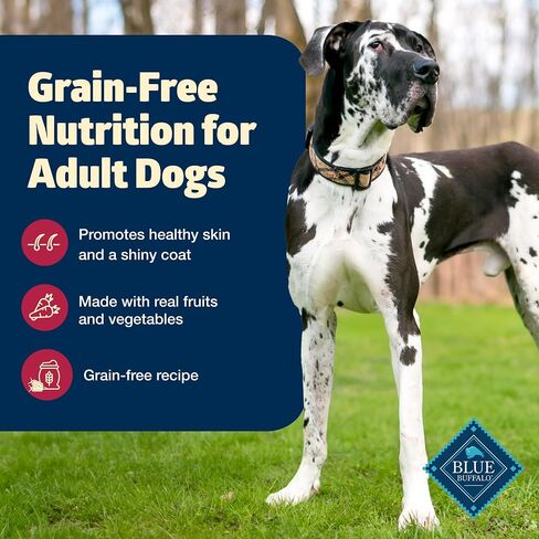 Blue Buffalo Freedom Grain Free Natural Adult Dry Dog Food, Chicken 4-lb in Saudi Arabia