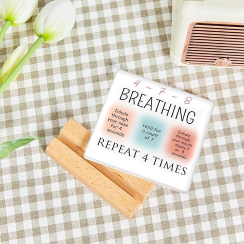 Maslow's Hierarchy of Needs Therapy Mental Health Gifts-Therapist Office Must Haves-Mental Health Acrylic Desk Plaque Sign with Wooden Stand,Office Decor in Kuwait