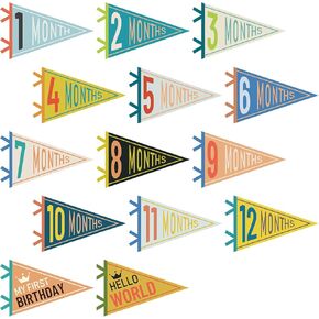 VitalCozy 14 Pcs Felt Pennant Banner Flags Monthly Milestone Pennant Multicolor Triangle Bunting Banner Age Milestone Flag Garland Signs for Boy Girl Newborn Birthday Parties Decor