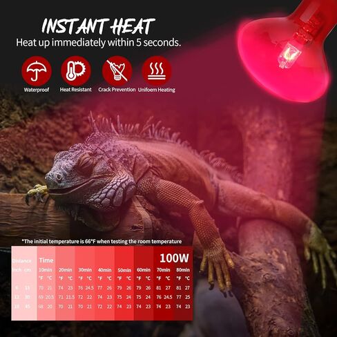 Fiveage 75W الأحمر الحيوانات الأليفة ضوء التدفئة الأشعة تحت الحمراء لمبة UVA بقعة مصباح الحرارة لاستخدام الزواحف والبرمائيات - سحلية السلحفاة ثعبان الحرباء 2 حزمة in Kuwait
