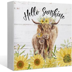 Hey Girl Hey Floral Heifer Cow Wood Box Sign Desk Decor,Rustic Summer Wooden Block Sign Decorations for Home Girls Room Dorm Office Wall Tabletop Shelf Decor