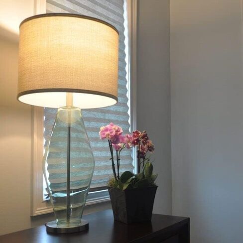 مجموعة مصابيح الإضاءة Maxxima LED A19 800 Lumens 60 Watt المكافئة - 2700K ضوء أبيض ناعم، كفاءة في استخدام الطاقة 10 واط، قاعدة E26، غير قابلة للتعتيم، للحمامات والمصابيح وغرف المعيشة - 12 عبوة in Saudi Arabia