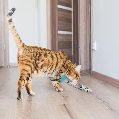 BINGPET 3 قطع لعبة النعناع البري كيكر لعبة القط كيكر التفاعلية كيتي ركلة العصي للقطط، لعبة مضغ القط متينة ومقاومة للعض، لعبة وسادة ركلة القطط الداخلية مع أنماط لطيفة لمستلزمات الحيوانات الأليفة الصغيرة in Kuwait