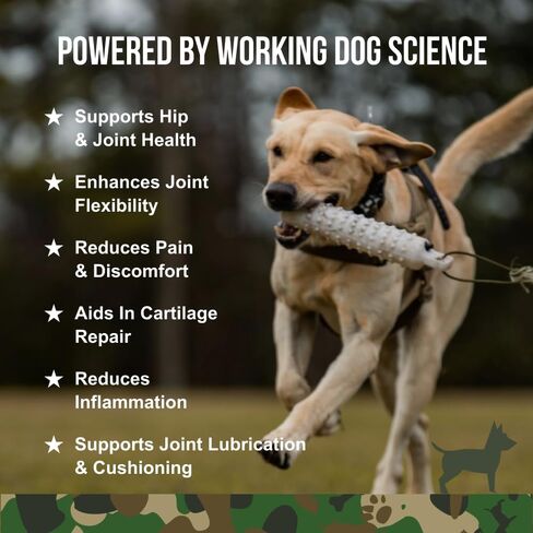 O. G.B. Operation Good Boy - SRE: مكمل متعدد الوظائف للحيوانات الأليفة - 90 قطعة مضغ طرية - 12.7 أونصة - مكونات طبيعية مصنوعة - تأسست على يد المحاربين القدامى in Saudi Arabia