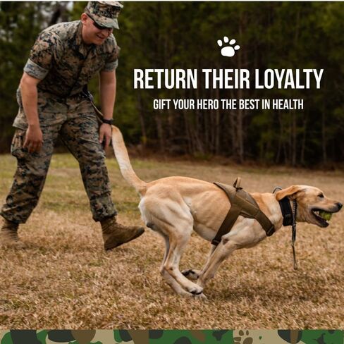 O. G.B. Operation Good Boy - SRE: مكمل متعدد الوظائف للحيوانات الأليفة - 90 قطعة مضغ طرية - 12.7 أونصة - مكونات طبيعية مصنوعة - تأسست على يد المحاربين القدامى in Saudi Arabia