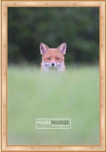 Poster Palooza 16x23 Frame Black Solid Wood Picture Frame | 0.75 Inch Moulding Width | Includes UV Acrylic Plexiglass, Foam Board Backing & Hanging Hardware in Saudi Arabia