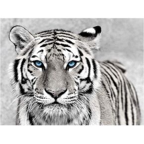 JACCAWS Black and White Tiger Tapestry Wall Hanging,Tiger Wall Art Tapestry Animal Tapestry Wall Hanging,79''x59'' Tiger Tapestry for Bedroom Living Room Dorm Room. (79''x59'', Tiger 2)