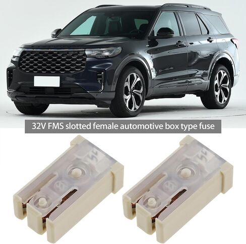 2Pcs 20AMP 32V Slotted Cartridge Fuses Miniature Cartridge with Female Terminals for 2.8 MM Male Terminals for Truck Compatible with Ford JAP in Saudi Arabia