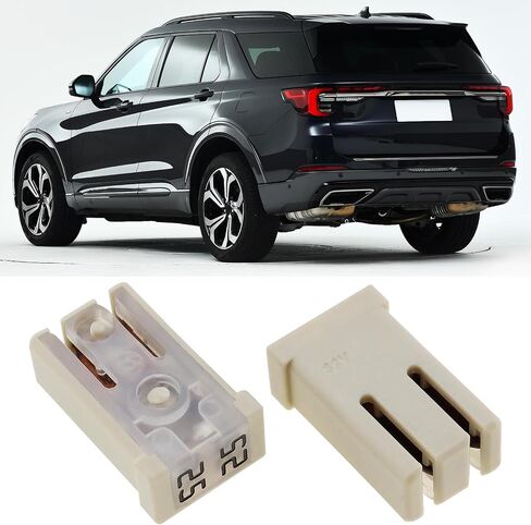 2Pcs 20AMP 32V Slotted Cartridge Fuses Miniature Cartridge with Female Terminals for 2.8 MM Male Terminals for Truck Compatible with Ford JAP in Saudi Arabia