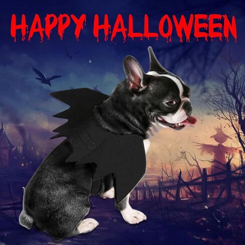 Ehdching القط زي هالوين الحيوانات الأليفة أجنحة الخفافيش القط الكلب الخفافيش زي، أزياء الهالوين للكلاب الصغيرة المتوسطة الكبيرة، أجنحة الكلب القط تأثيري زي الخفافيش لزينة حفلة الهالوين in Kuwait