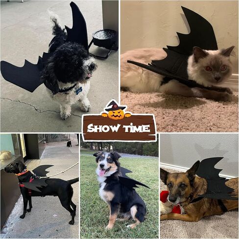 Ehdching القط زي هالوين الحيوانات الأليفة أجنحة الخفافيش القط الكلب الخفافيش زي، أزياء الهالوين للكلاب الصغيرة المتوسطة الكبيرة، أجنحة الكلب القط تأثيري زي الخفافيش لزينة حفلة الهالوين in Kuwait