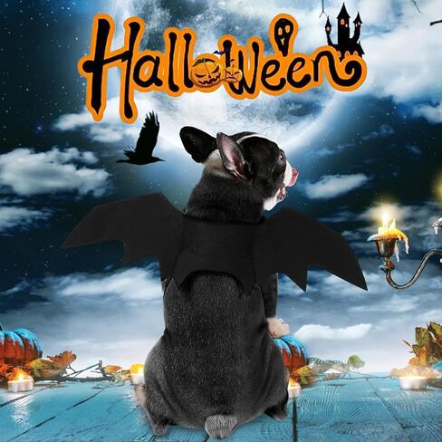 Ehdching القط زي هالوين الحيوانات الأليفة أجنحة الخفافيش القط الكلب الخفافيش زي، أزياء الهالوين للكلاب الصغيرة المتوسطة الكبيرة، أجنحة الكلب القط تأثيري زي الخفافيش لزينة حفلة الهالوين in Kuwait