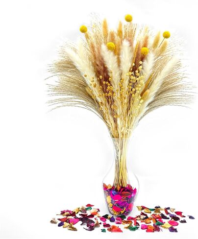 Bloom Ease عشب بامباس طبيعي مجفف - 100 قطعة من باقة عشب بامباس المجففة الاصطناعية، زهور بوهو ونباتات مجففة اصطناعية وزخارف زهور لحفلات الزفاف - سيقان رقيق مع صندوق هدايا مجففات. in Kuwait