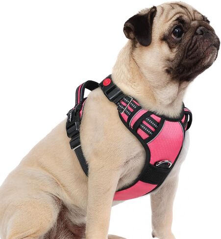 rabbitgoo Dog Harness for Large, No Pull 3 Buckles Easy On & Off in Kuwait