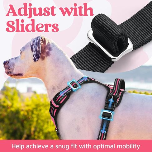 rabbitgoo Dog Harness for Large, No Pull 3 Buckles Easy On & Off in Kuwait