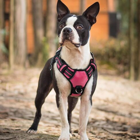 rabbitgoo Dog Harness for Large, No Pull 3 Buckles Easy On & Off in Kuwait