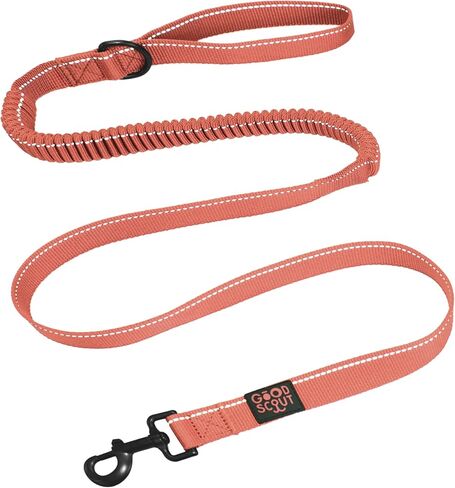 Good Scout Heavy Duty Bungee Leash, Walking & Training Leash for Puppies & Adult Dogs, Blue, Small in Kuwait