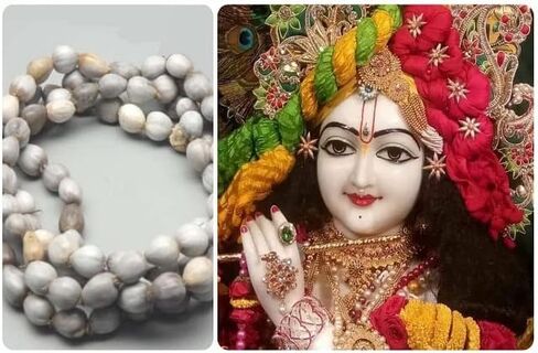 قلادة/قلادة مالا/خرزة بيضاء Vaijanti Mala الأصلية، مصنوعة يدويًا من Japa/Meditation Mala/Vashikaran جاذبية وDevi Siddhi 108 خرزة مع شرابة Rudraksha in Kuwait