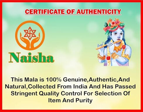 قلادة/قلادة مالا/خرزة بيضاء Vaijanti Mala الأصلية، مصنوعة يدويًا من Japa/Meditation Mala/Vashikaran جاذبية وDevi Siddhi 108 خرزة مع شرابة Rudraksha in Kuwait