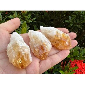 GAF TREASURES Extra Large Citrine Point, Natural Citrine Point, Citrine Point Healing Crystals (Citrine Point, 3-4 oz)