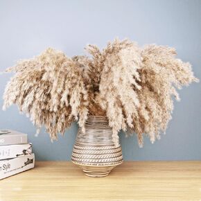 SREED 31-Inch Tall Fluffy Pampas Grass 20-Pcs XL Size Brown Tall Vase Dry Pompous Decor Wedding Flower Boho Decor