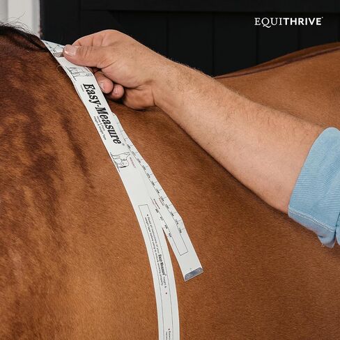 حبيبات مكمل ميتابارول للحصان مع ريسفيراترول، مكمل دعم التمثيل الغذائي للخيول، مكمل استقلابي للخيول، منتجات العناية بالخيول، 3.3 رطل in Kuwait