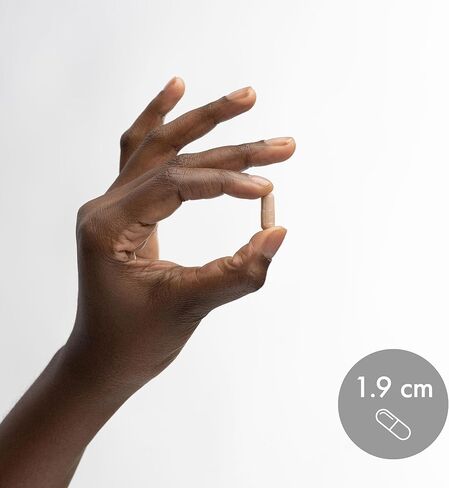 دكتور ميركولا، دعم النوم مع الميلاتونين، 10 ملغ من الميلاتونين لكل حصة، 30 حصة (30 كبسولة)، مكمل غذائي، يدعم النوم الصحي والتركيز الذهني، غير معدل وراثيًا in Kuwait