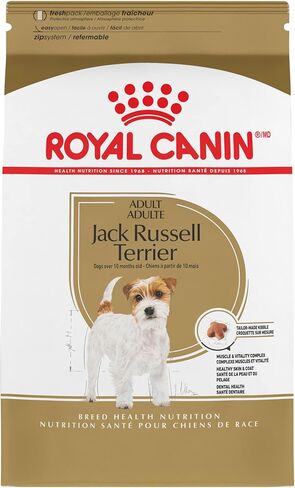 Royal Canin Jack Russell Terrier Adult Dry Dog Food, 10 lb bag in Kuwait