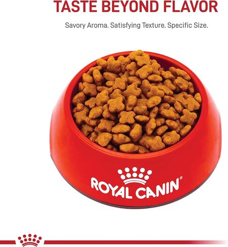 Royal Canin Jack Russell Terrier Adult Dry Dog Food, 10 lb bag in Kuwait