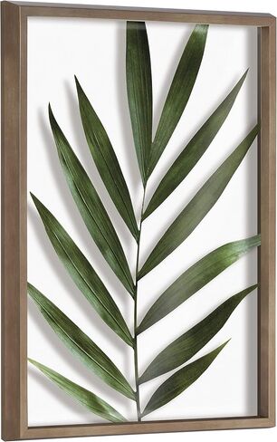 Kate and Laurel Blake Botanical 5F Framed Printed Glass Wall Art by Amy Peterson Art Studio, 18x24 Natural, Modern Wall Decor Inspired by Nature in Saudi Arabia