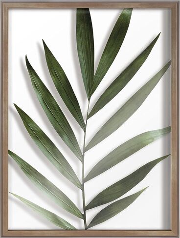 Kate and Laurel Blake Botanical 5F Framed Printed Glass Wall Art by Amy Peterson Art Studio, 18x24 Natural, Modern Wall Decor Inspired by Nature in Saudi Arabia