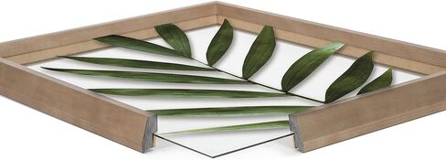 Kate and Laurel Blake Botanical 5F Framed Printed Glass Wall Art by Amy Peterson Art Studio, 18x24 Natural, Modern Wall Decor Inspired by Nature in Saudi Arabia
