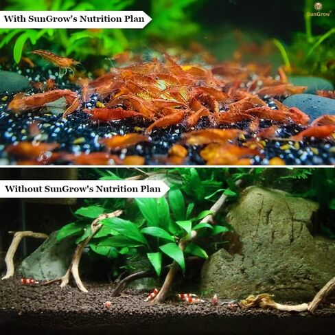 SunGrow Spirulina High Protein Food, 1.75 oz., Wafer for Shrimp, Hermit Crab, Pleco, Cory, Catfish, Crayfish, Snails, Bottom Feeder, Supplement for Dog & Cat, Treat for Chinchilla & Guinea Pig in Saudi Arabia