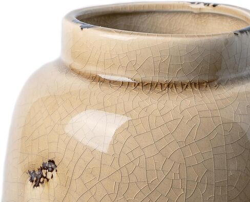 مزهرية سيراميك من فيكتور آند تيريزا للزهور، مزهريات بيج ريفية مزخرفة لعشب بامباس، مزهريات المزرعة الحديثة للطاولة، رف الموقد، غرفة المعيشة، الرف، القطع المركزية، ديكور المنزل، 10 بوصة in Kuwait