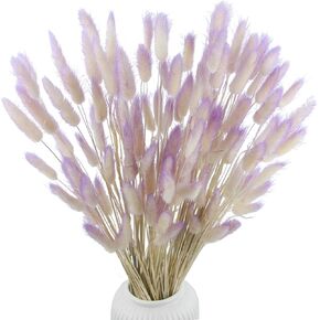 CITYES 120 Pcs Dried Bunny Tails Flower Lagurus Ovatus Natural Dried Flowers Rabbit Tail Grass Dried Pampas Grass Dried Floral Arrangement for Boho Decor Wedding Home DIY Farmhouse Table Dark Brown